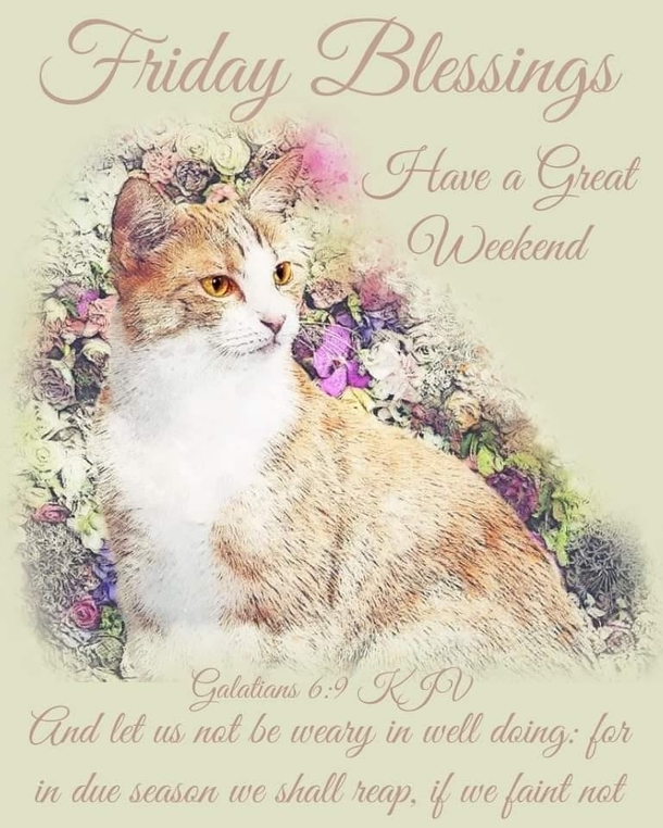 Beautiful Friday Blessings With Quotes To Bless Your Weekend! - picture 10