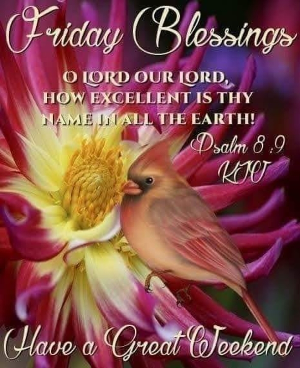 Beautiful Friday Blessings With Quotes To Bless Your Weekend! - picture 4