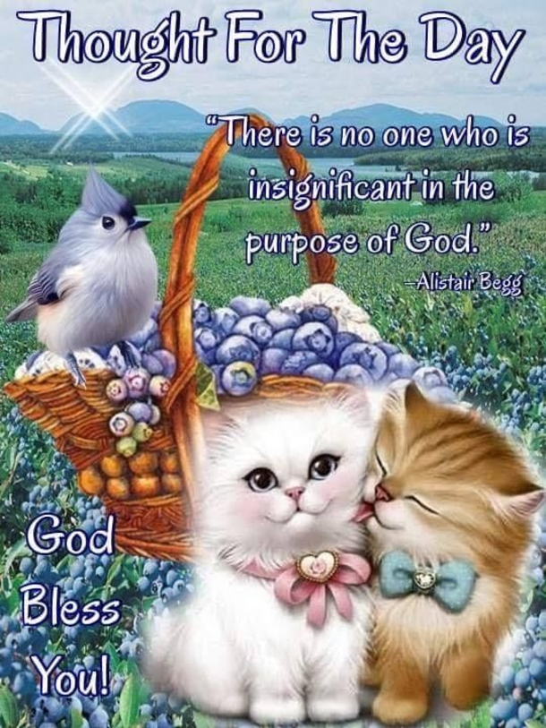Beautiful Good Morning Thoughts And Words - picture 13