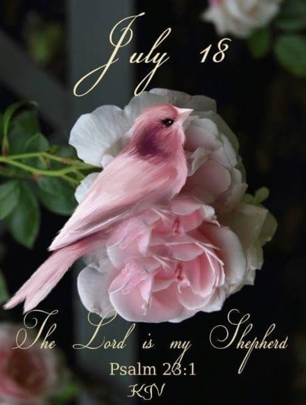Beautiful July 18 Images With Quotes, Greetings And Wishes - picture 4