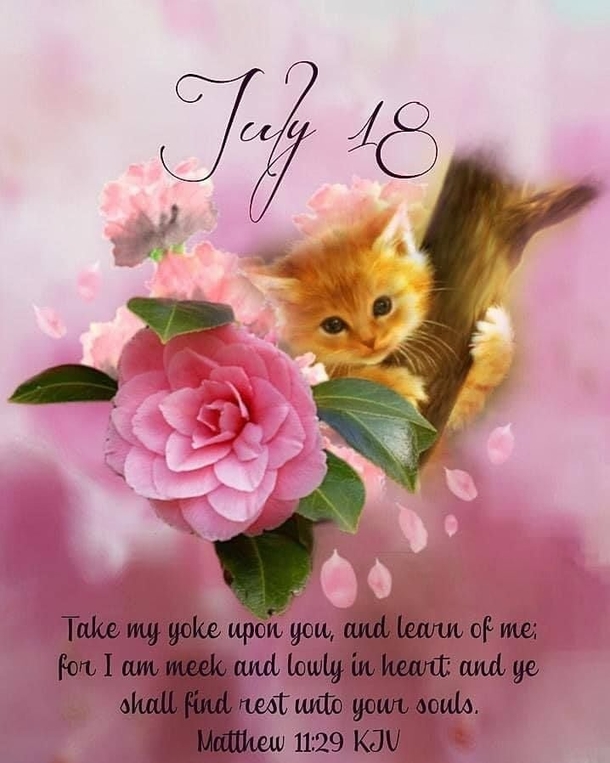 Beautiful July 18 Images With Quotes, Greetings And Wishes - picture 7