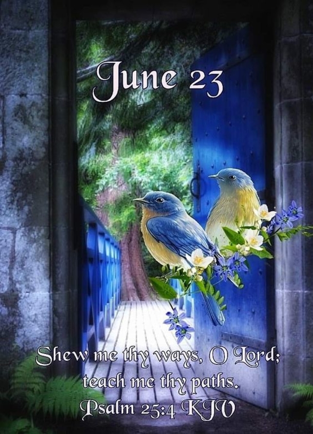 Beautiful June 23 Quotes And Sayings For The Day - picture 11
