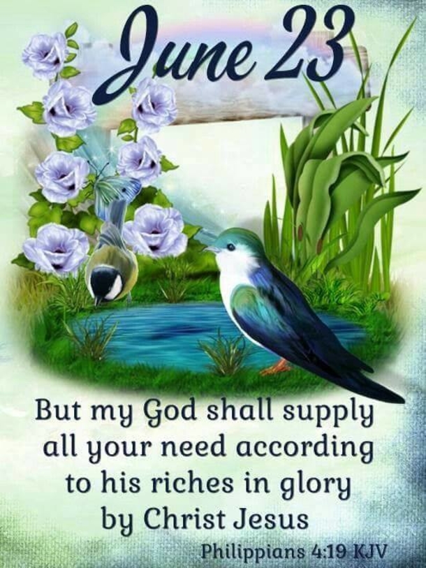 Beautiful June 23 Quotes And Sayings For The Day - picture 5