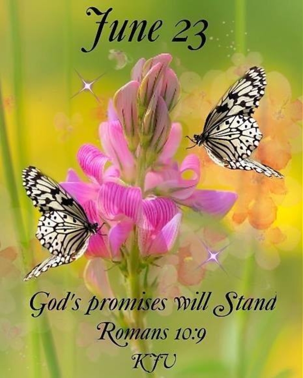 Beautiful June 23 Quotes And Sayings For The Day - picture 7