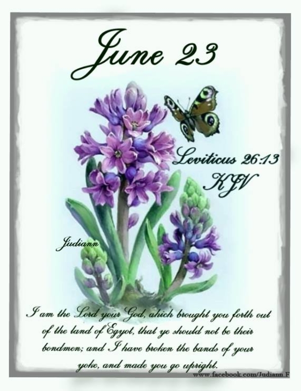 Beautiful June 23 Quotes And Sayings For The Day - picture 8