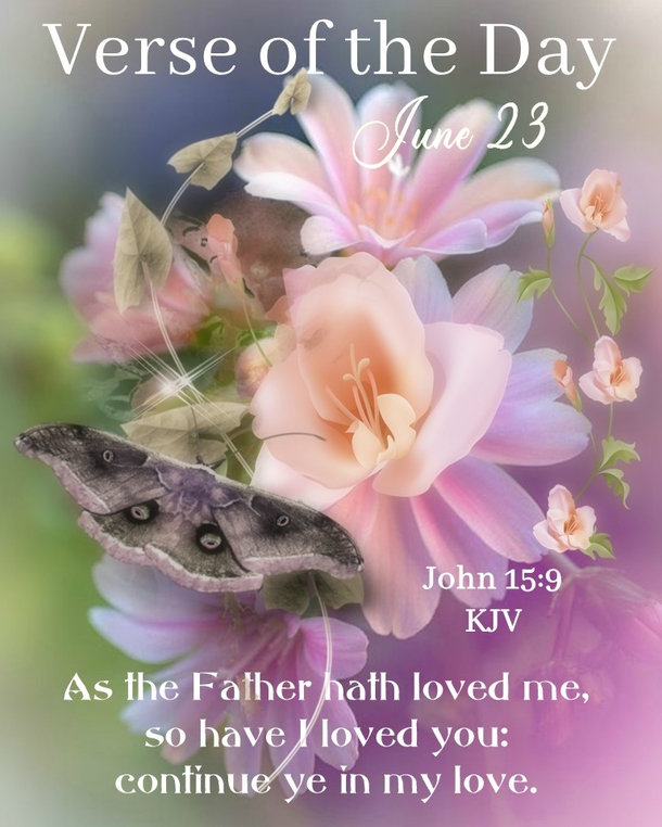 Beautiful June 23 Quotes And Sayings For The Day - picture 9