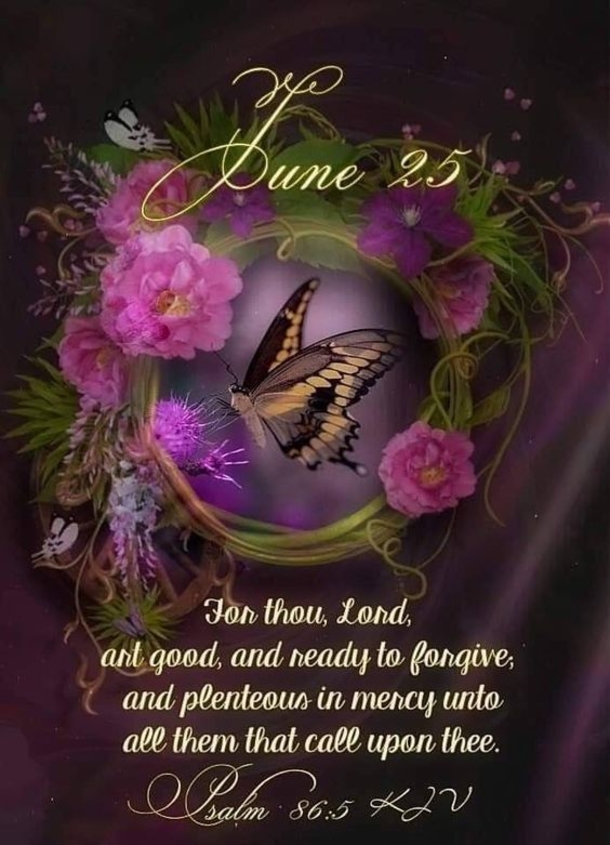 Beautiful June 25 Quotes And Sayings For The Day - picture 2