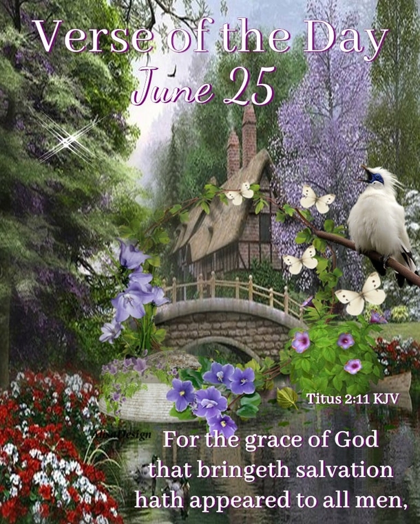 Beautiful June 25 Quotes And Sayings For The Day - picture 5