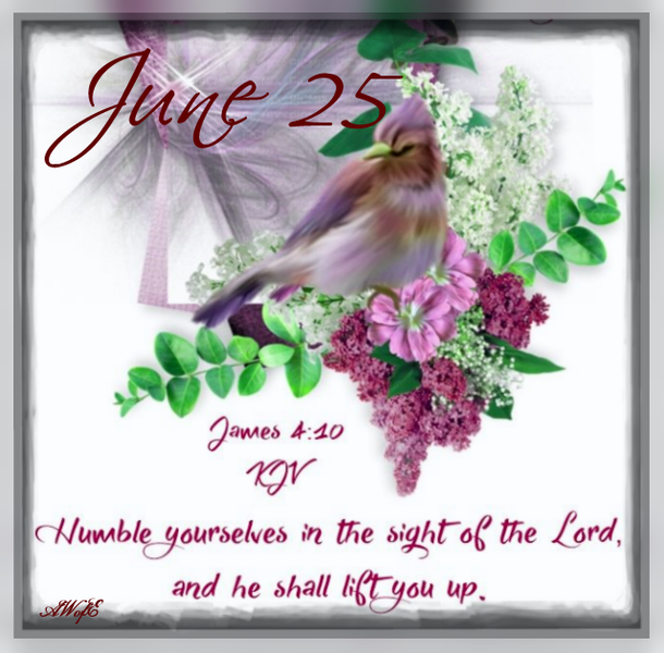 Beautiful June 25 Quotes And Sayings For The Day - picture 6