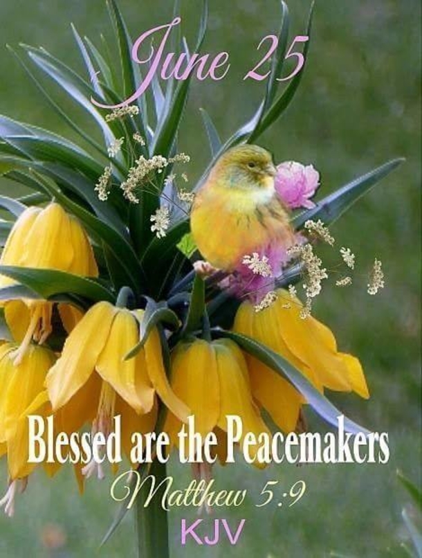 Beautiful June 25 Quotes And Sayings For The Day - picture 7