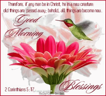 Beautiful Monday Greetings & Wishes - picture 11