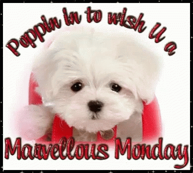 Beautiful Monday Greetings & Wishes - picture 2