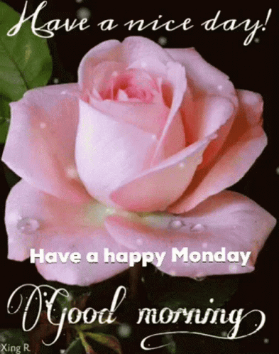 Beautiful Monday Greetings & Wishes - picture 4