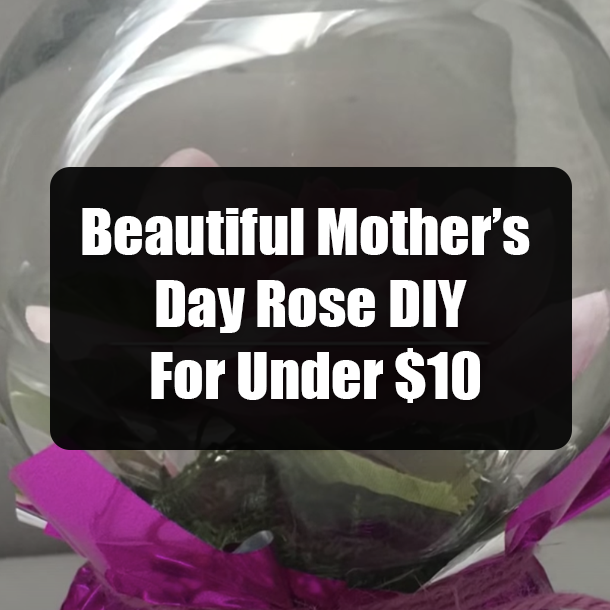 Beautiful Mother’s Day Rose DIY For Under $10