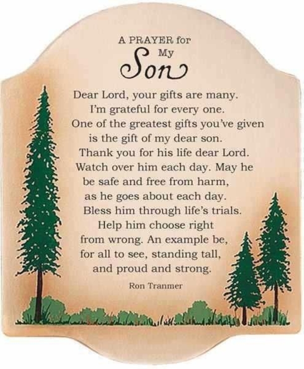 Beautiful Son Quotes And Sayings - picture 11