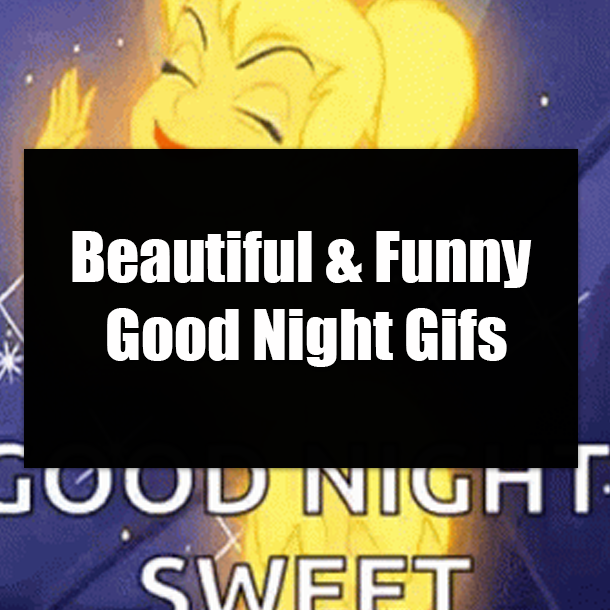 Beautiful & Funny Good Night Gifs