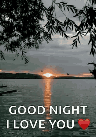Beautiful & Funny Good Night Gifs - picture 10