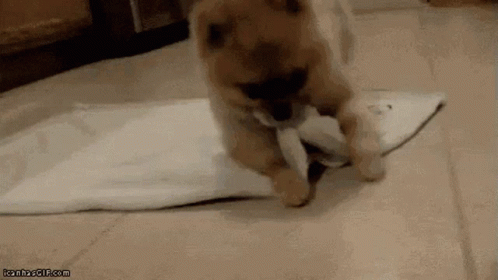 Beautiful & Funny Good Night Gifs - picture 2