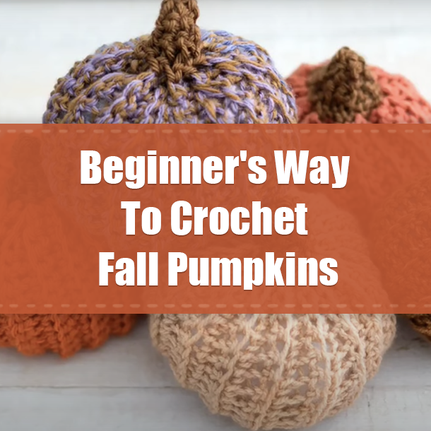 Beginner's Way To Crochet Fall Pumpkins