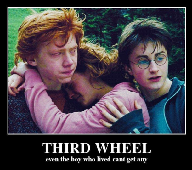 Being The 3rd Wheel Sucks (10 Pictures) - picture 7