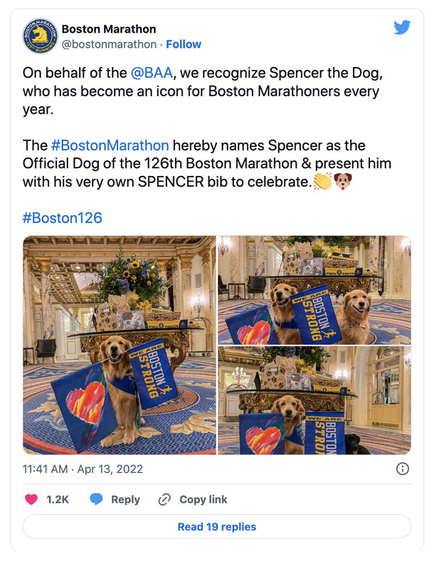 Beloved Dogs Honored As 250 Golden Retrievers Gather At Boston Marathon - picture 4