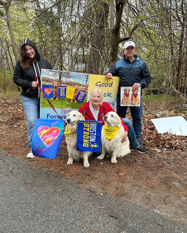 Beloved Dogs Honored As 250 Golden Retrievers Gather At Boston Marathon - picture 9
