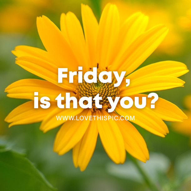 Best 100 Friday Quotes, Greetings, Wishes And Sayings - picture 4