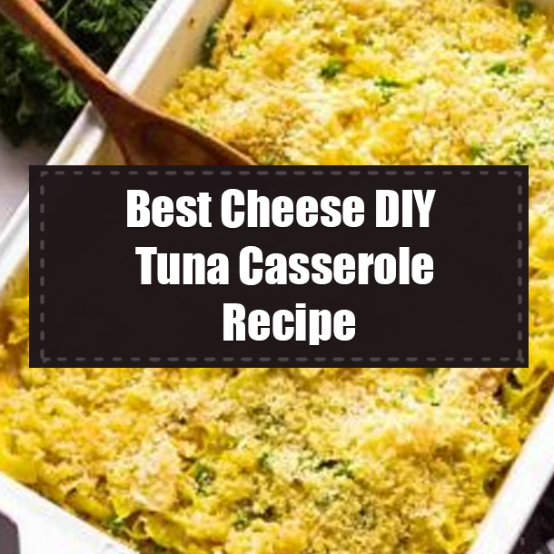 Best Cheese DIY Tuna Casserole Recipe