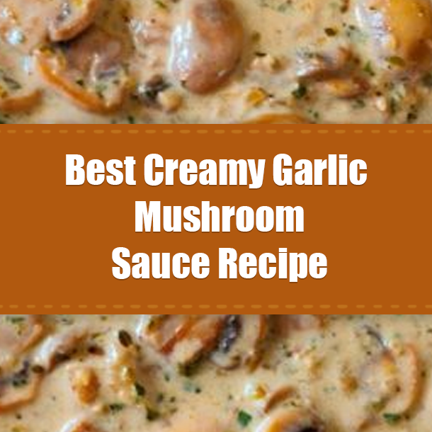 Best Creamy Garlic Mushroom Sauce Recipe