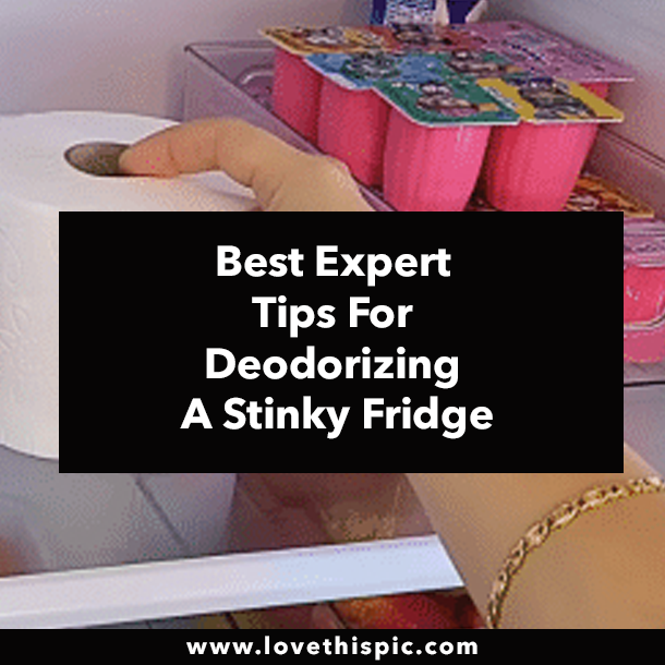 Best Expert Tips For Deodorizing A Stinky Fridge