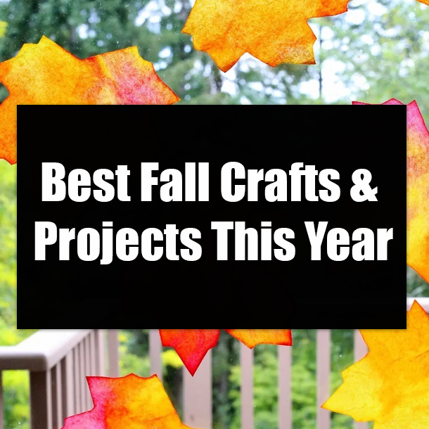 Best Fall Crafts & Projects This Year