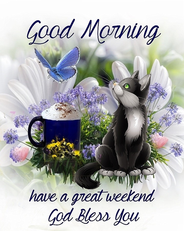Best Good Morning Quotes To Set The Tone For Your Day - picture 10