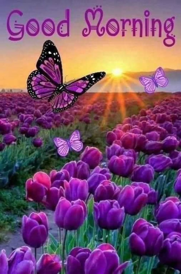Best Good Morning Quotes To Set The Tone For Your Day - picture 3
