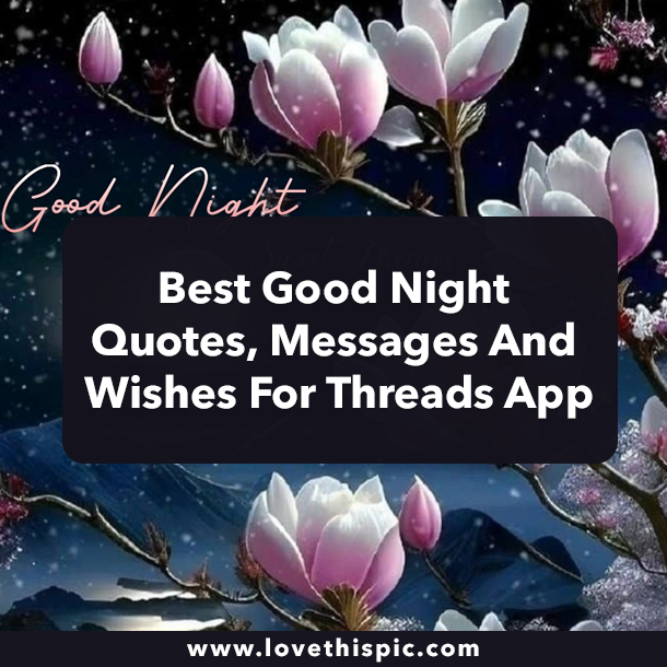 Best Good Night Quotes, Messages And Wishes For Threads App