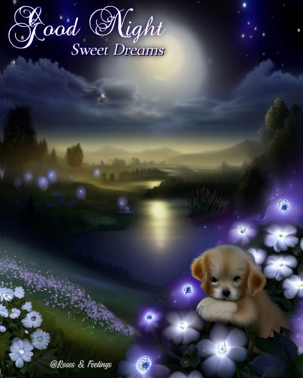 Best Good Night Quotes, Messages And Wishes For Threads App - picture 7
