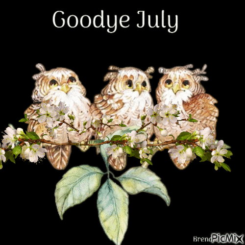 Best Goodbye July Gifs And Image Greetings To Share - picture 4