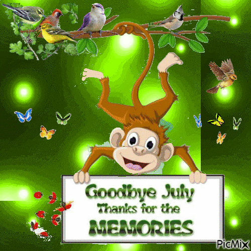 Best Goodbye July Gifs And Image Greetings To Share - picture 7