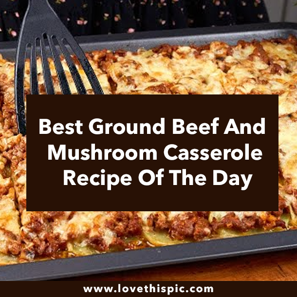 Best Ground Beef And Mushroom Casserole Recipe Of The Day