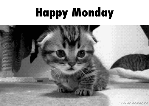 Best Happy Monday Quotes, Pictures And Gifs - picture 4