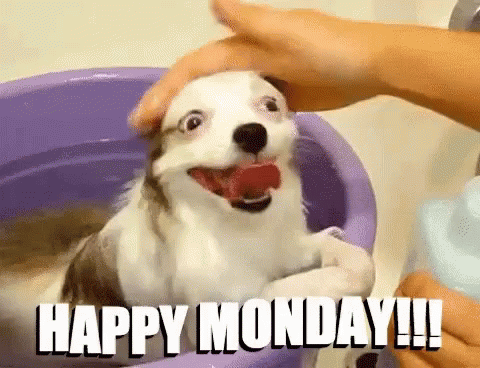 Best Happy Monday Quotes, Pictures And Gifs - picture 9