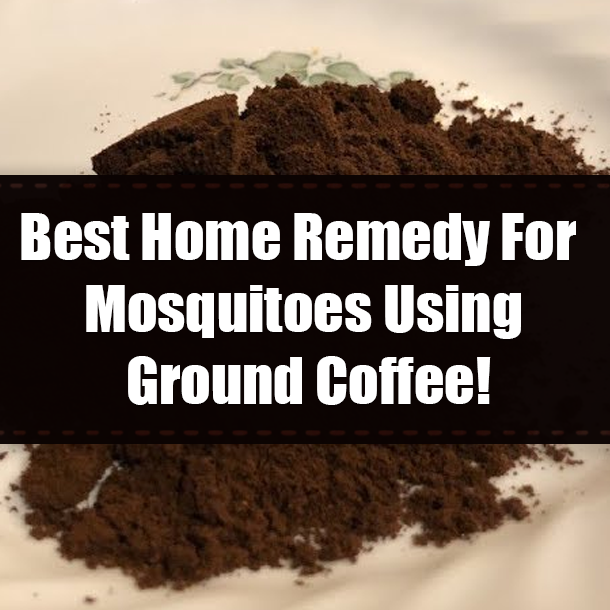 Best Home Remedy For Mosquitoes Using Ground Coffee