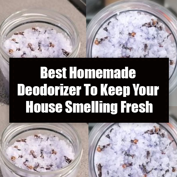 Best Homemade Deodorizer To Keep Your House Smelling Fresh