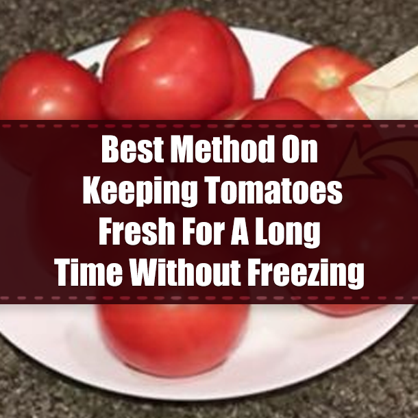 Best Method On Keeping Tomatoes Fresh For A Long Time Without Freezing