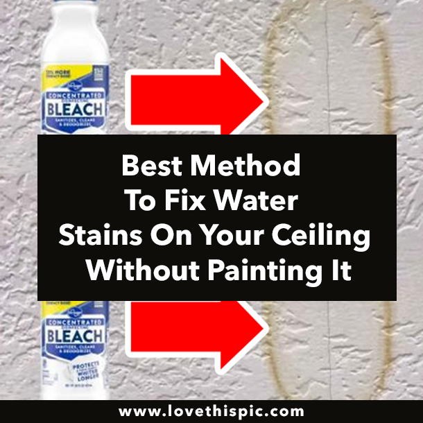Best Method To Fix Water Stains On Your Ceiling Without Painting It