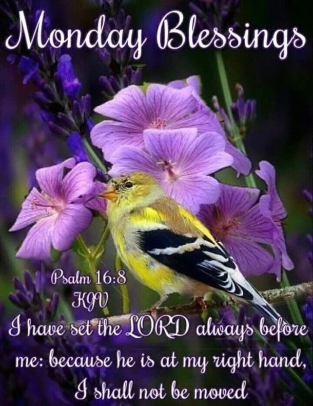 Best Monday Blessings And Quotes - picture 2