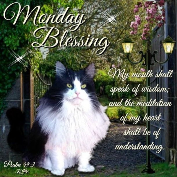 Best Monday Blessings And Quotes - picture 5