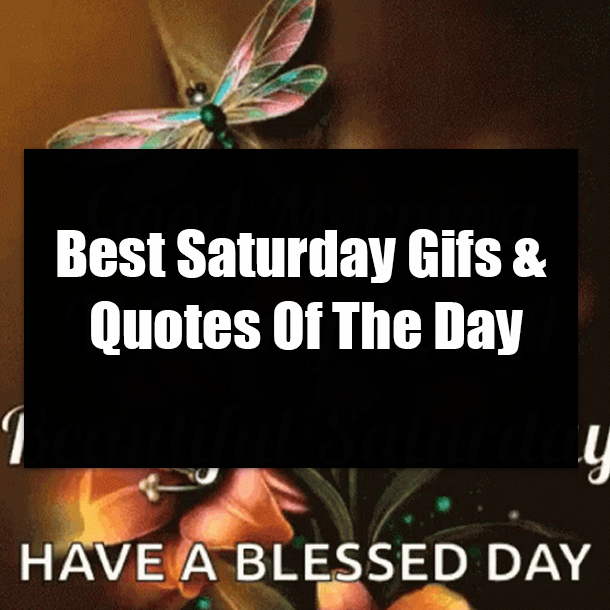Best Saturday Gifs & Quotes Of The Day