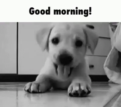Best Saturday Gifs & Quotes Of The Day - picture 10