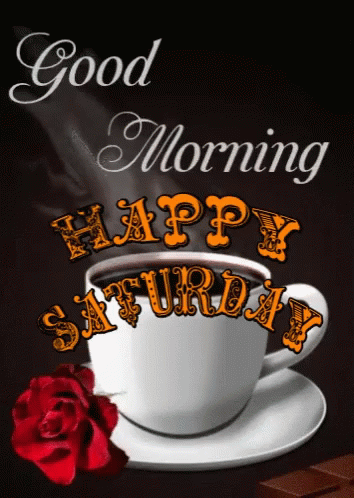 Best Saturday Gifs & Quotes Of The Day - picture 2