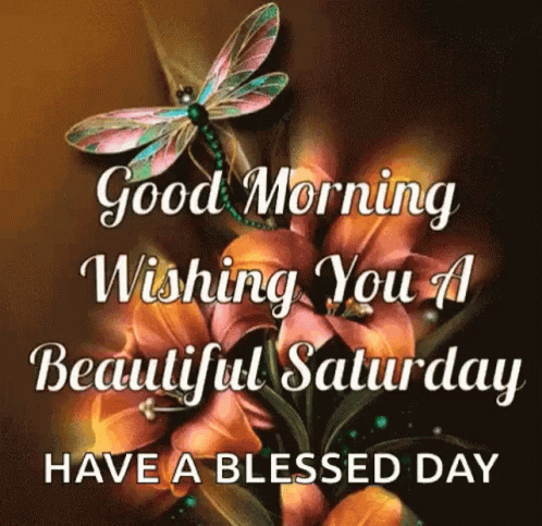 Best Saturday Gifs & Quotes Of The Day - picture 4